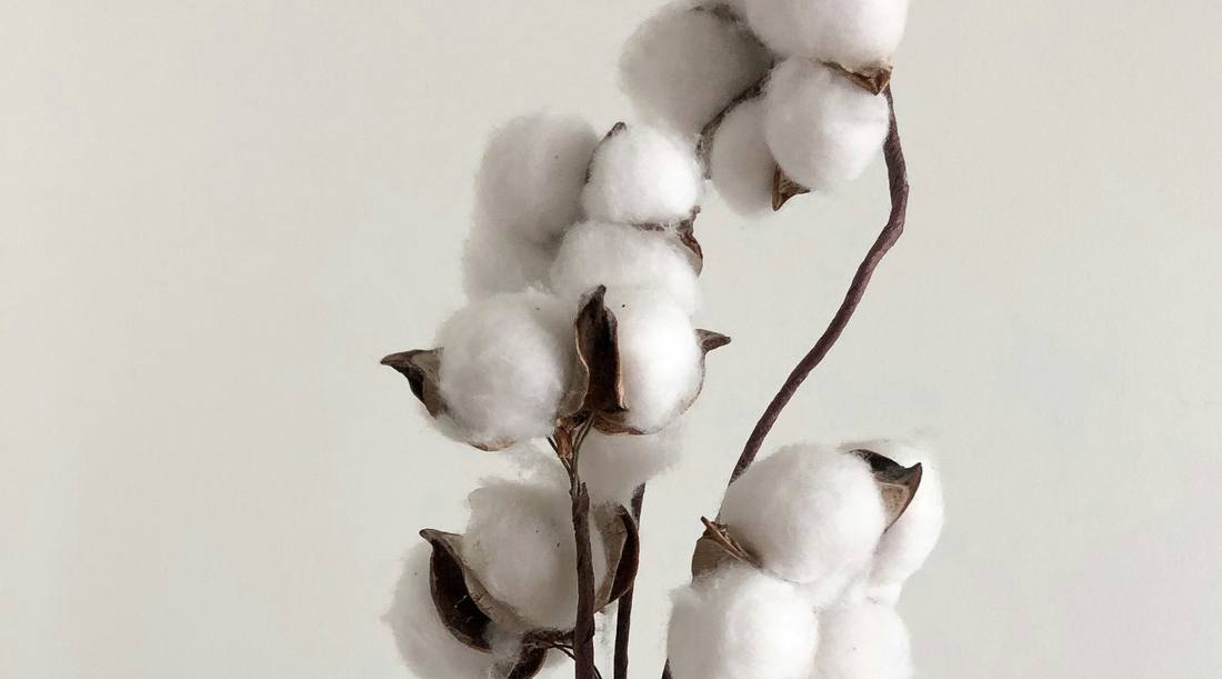 The Best Eco-Friendly Pajamas on Amazon for a Dreamy Night’s Sleep